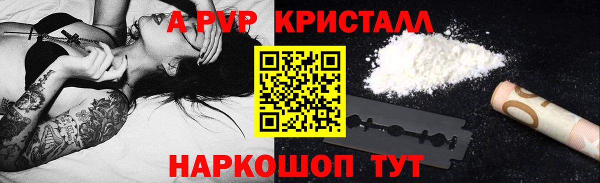 Чайковский  A PVP  Вход с VPN  А ПВП мука 