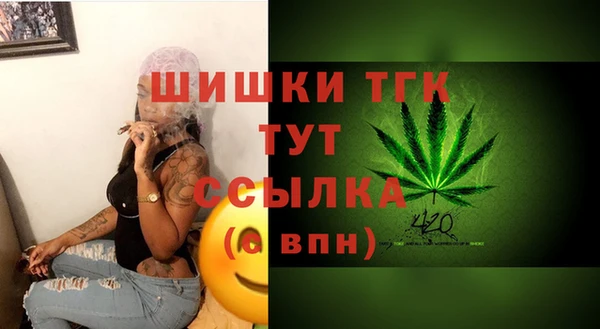 крисы Новодвинск