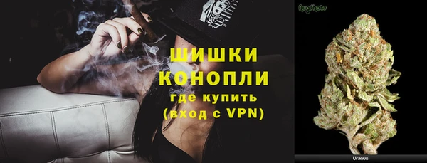 крисы Новодвинск