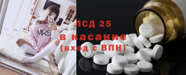 крисы Новодвинск