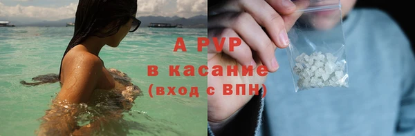крисы Новодвинск