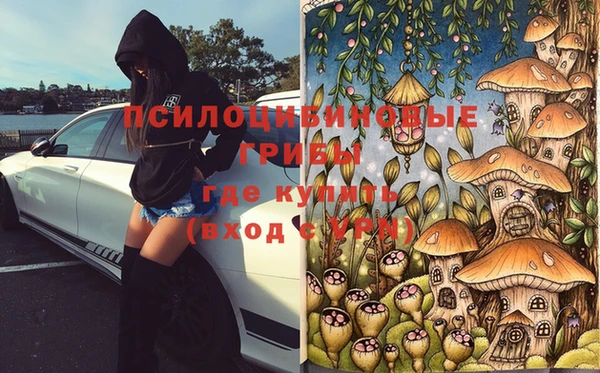 крисы Новодвинск