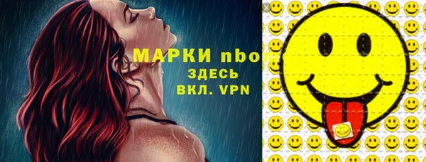 крисы Новодвинск