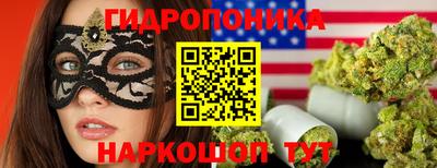 apvp Ипатово