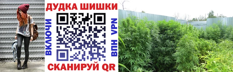 Каннабис White Widow  ссылка на мегу онион  Чайковский 